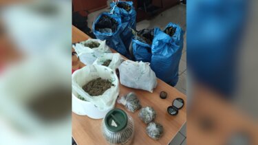 Κάνναβη, Ναρκωτικά, Σύλληψη