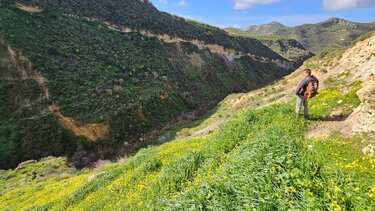 Ληθαίος ποταμός, Δρόμοι Ζωής