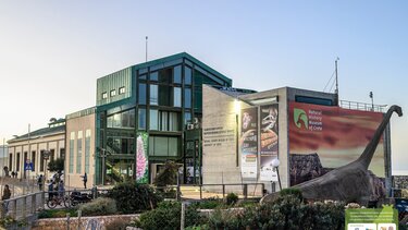 moyseio fysikis istorias