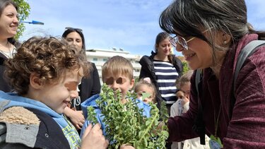 Μοσχοβόλησε… Κρήτη η πλατεία του Αγίου Γεωργίου "Πεταλιώτη"
