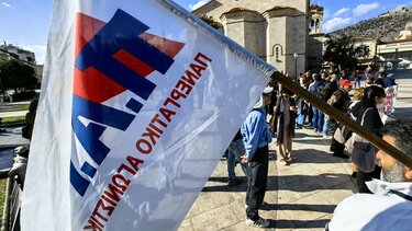 ΠΑΜΕ, Σημαία