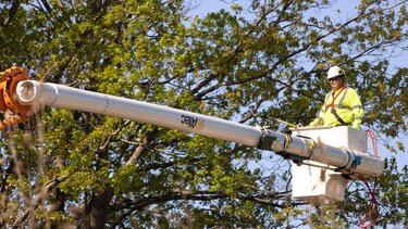 κοπή-κλαδεμα