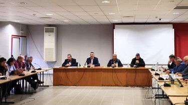 Δημοτικό συμβούλιο, Χερσόνησος 