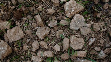 Χωράφι, Πέτρες