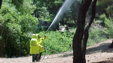 Συντυχάκης: Όλες οι κυβερνήσεις, με «μοχλό» την ΚΑΠ, ψαλιδίζουν το εισόδημα των αγροτοκτηνοτρόφων