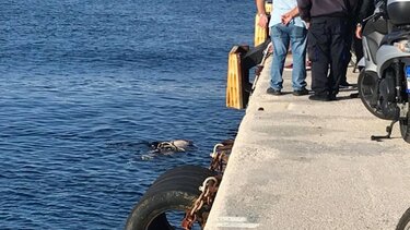 Τύχη βουνό είχε ηλικιωμένη ενώ κολυμπούσε στη Χερσόνησο