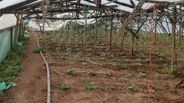 Αναζητούν λύση στην Ιεράπετρα για τα ανακυκλώσιμα αγροτικά υλικά 