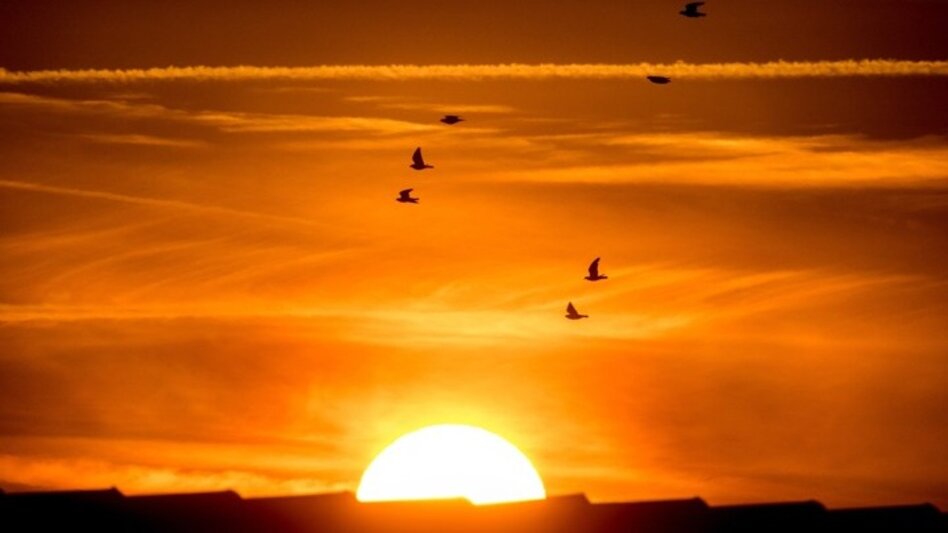Η κλιματική αλλαγή "χτυπά" την Ευρώπη: Καύσωνες και θερμοκρασίες ρεκόρ - Για πόσο θα γλιτώνει η Ελλάδα