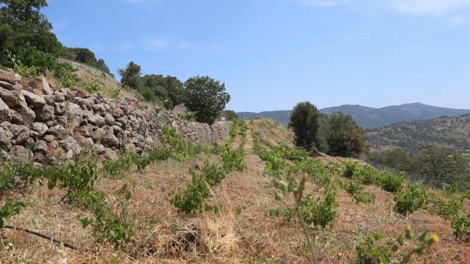 Οι ξερολιθιές «έσωσαν» την Τήνο από τις πλημμύρες