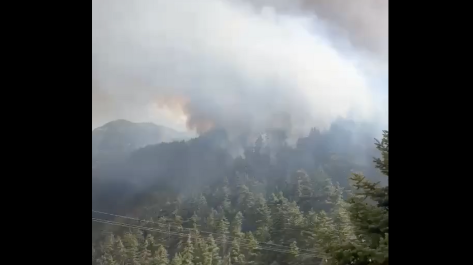 Θηριώδης η φωτιά στην Κορινθία: Δύο συλλήψεις, εκκενώσεις και ολονύχτια μάχη με τις φλόγες