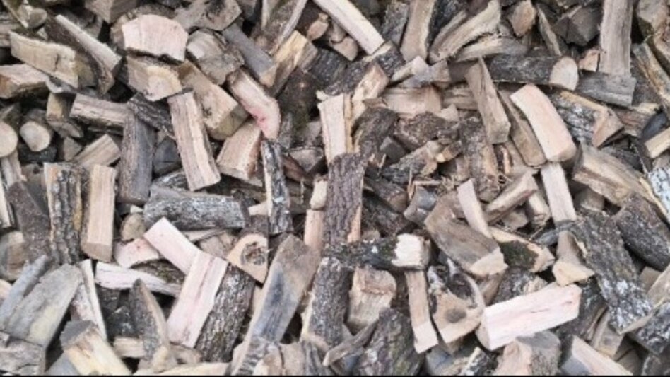 Τραγωδία στη Χαλκιδική: Ηλικιωμένος καταπλακώθηκε από κορμό δέντρου προσπαθώντας να κόψει ξύλα