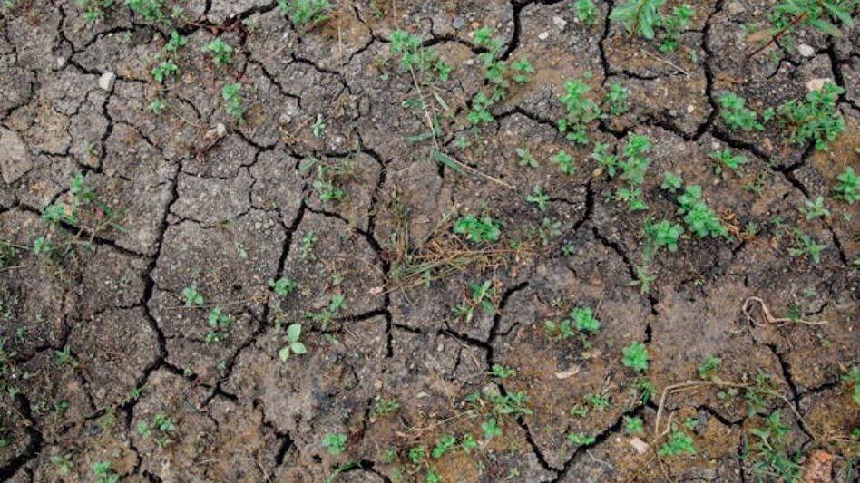 Σημάδια ξηρασίας στην Κρήτη – Μείωση της εδαφικής υγρασίας δείχνουν τα στοιχεία του ΜΕΤΕΟ