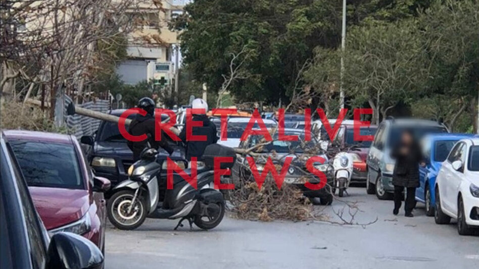 Σαρώνουν οι νοτιάδες: Δέντρο έπεσε πάνω σε ΙΧ, κλαδί "προσγειώθηκε" σε αγροτικό - "Καμπανάκι" για αιωρούμενα σωματίδια