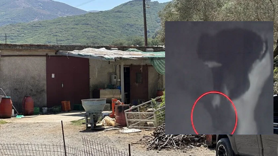 Ρέθυμνο: Βίντεο-ντοκουμέντο από την επίθεση στον κτηνοτρόφο που του έκοψαν τη γλώσσα 