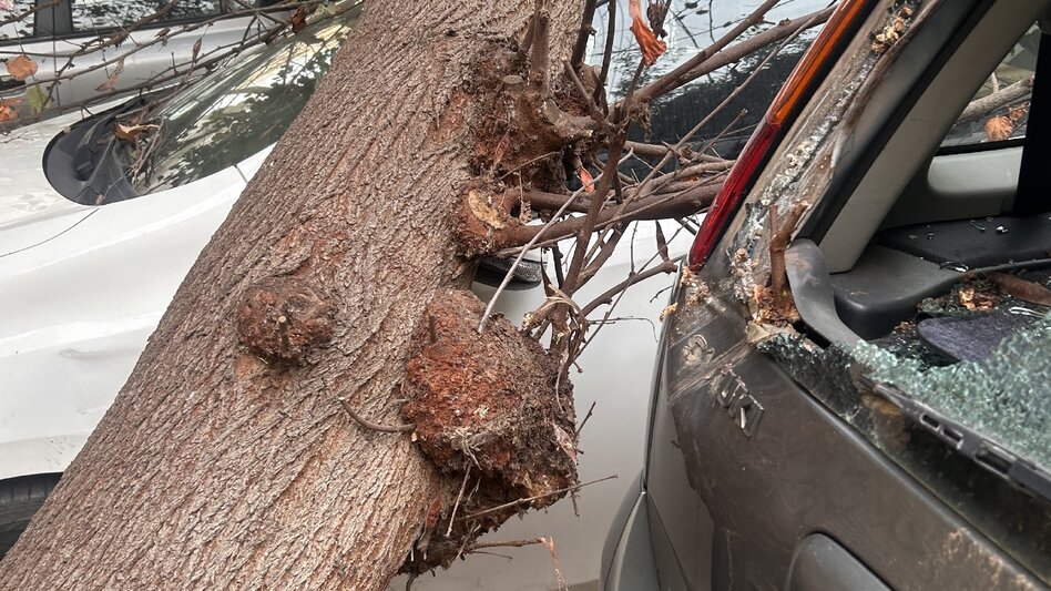 Στο έλεος των ανέμων το Ηράκλειο: Δέντρα καταπλάκωσαν 5 αυτοκίνητα στον Μασταμπά