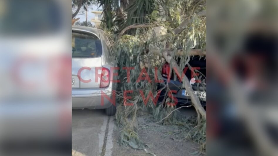 Θυελλώδεις άνεμοι στην Κρήτη: Δέντρο έπεσε πάνω σε σταθμευμένα οχήματα 