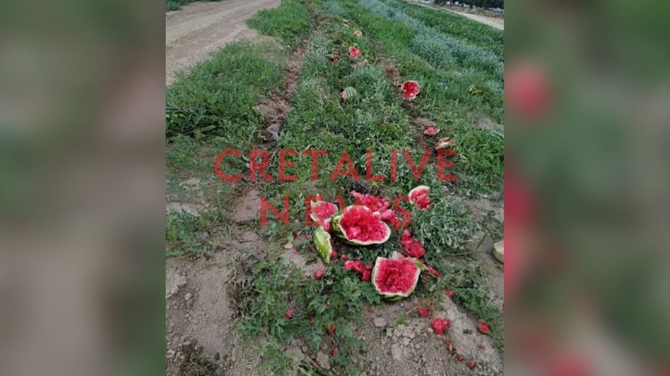 Κάθειρξη 6 ετών στον 54χρονο που πυροβόλησε δύο 17χρονους σε μποστάνι στο Ηράκλειο