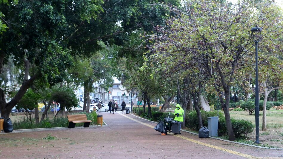 Πάνω από 52.500 νέα φυτά άλλαξαν το πράσινο αποτύπωμα του Ηρακλείου!