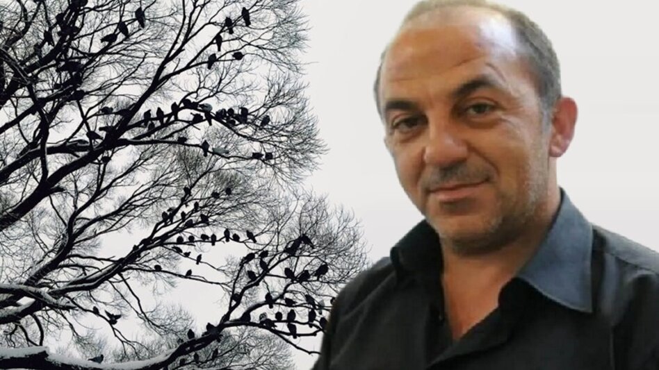 Τα πουλιά του Ψυχοσάββατου που δεν τα μνημόνευσε κανείς 