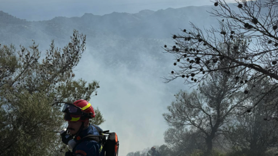 Φωτιά στη Βιάννο: Καλύτερη η εικόνα - Συνεχίζουν τις προσπάθειες