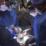 Δώρα ζωής από τον 57χρονο Ηρακλειώτη - Είχε τραυματιστεί βαρύτατα μετά από πτώση