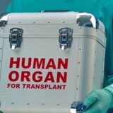 Πράξη αλτρουισμού από την οικογένεια του άτυχου 61χρονου - Κλινικά νεκρός μετά την πτώση στον Κούλε