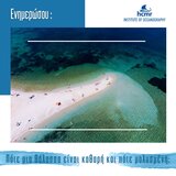 ΕΛΚΕΘΕ: Πώς να διαπιστώσετε αν οι θάλασσες είναι καθαρές ή μολυσμένες