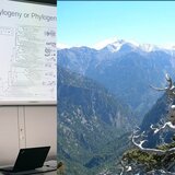 Κορυφαίος ερευνητής επιστρέφει στην Κρήτη 16 χρόνια μετά και φέρνει χρηματοδότηση ύψους 2,5 εκ ευρώ!