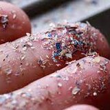 Μικροπλαστικά παντού: Στο αίμα, στον εγκέφαλο, στα έντερα