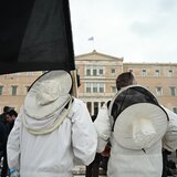 Να βγουν από το... αδιέξοδο πασχίζουν οι μελισσοκόμοι της Κρήτης - Πάνε στον Τσιάρα την Πέμπτη