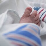 «Μύριζε έντονα χλωρίνη στη σακούλα» -Συγκλονισμένος ο εκαβίτης που έσωσε το μωρό!