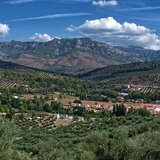 Μαύρο πουκάμισο, τραμπουκισμοί, καταπατήσεις, μαντιναδάκια και επιδοτήσεις 