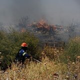 Φωτιά σε δασική έκταση στην Νέα Πέραμο Καβάλας