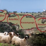«Βράζει η Κρήτη» για τα …βοσκοτόπια της οργής: απόγνωση, φόβος και αντίποινα