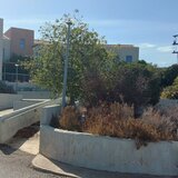 Δήμος Χερσονήσου: Το επίσημο αίτημα για παραχώρηση του κτηρίου - "φαντάσματος"