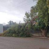 Μεγάλο κλαδί δέντρου έπεσε στην αυλή δημοτικού στις Μοίρες!