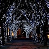 Καταγγέλλουν αδιαφορία κι εγκατάλειψη στον Καρτερό