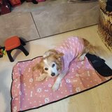 Ζητούν βοήθεια για να βρεθεί η "Λίδα" 