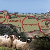 Η αγωνία του Χρυσοχοΐδη και η δικαίωση του Cretalive!