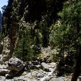 Mεγάλη επιχείρηση για τον εντοπισμό του 21χρονου Γερμανού