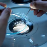 "Η έρευνα είναι επένδυση και όχι πολυτέλεια"