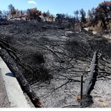 Δίκη για το Μάτι: Ένοχοι 10 κατηγορούμενοι - Αθώοι Δούρου, Ψινάκης και Μπουρνούς