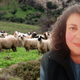 Καμία απόδειξη για το πώς ξεκίνησε η ευλογιά των αιγοπροβάτων στην Κρήτη - Τι λέει η Σ. Λαμπρινίδη στο Cretalive