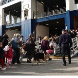 Πάνω από 10.000 άνθρωποι εγκατέλειψαν τη Σαντορίνη, μετά τους σεισμούς- video