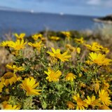 Αραιές νεφώσεις στην Κρήτη την Δευτέρα