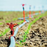 Πότε πληρώνονται υπόλοιπα βασικής ενίσχυσης, Οικολογικά Σχήματα και μεταβιβάσεις