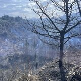 Συνεχίζει να καίει η φωτιά στον Αποκόρωνα - Βελτιωμένη η κατάσταση, επιχειρούν ισχυρές δυνάμεις