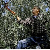 Κλάδεψες και δεν ξέρεις τί να κάνεις τα υπολείμματα;