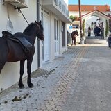 Καβαλάρηδες στις Μοίρες, στη χάρη του Αγίου Γεωργίου