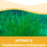 Ανοικτή ενημερωτική εκδήλωση: «Αποκατάσταση λιβαδιών Ποσειδωνίας στον όρμο Ατζικιάρι» 